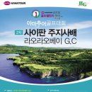 하나글로벌투어 이미지