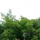 지와이팜 이미지