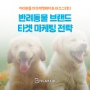 반려동물 브랜드 마케팅, 타겟마케팅으로!