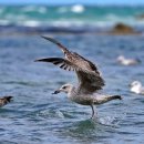 무선스크린골프존 이미지