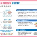 탁월헤어 이미지
