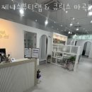 제니스네일 이미지