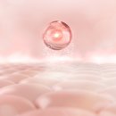 스킨딥의원 이미지