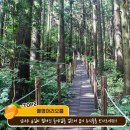 신풍리마을 이미지