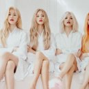 아이리얼(주)