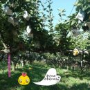 두이농장 이미지