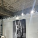 7월19일 오사카 발레