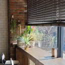 리틀 빈후 이미지