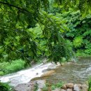 별빛캐라반민박 이미지