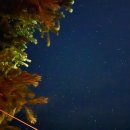 레젤프펜션 이미지