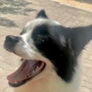 봉선농장 이미지