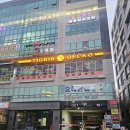 리치플러스 하남센터(1F) | 하남도마뱀 파충류샵 티그리스 게코 반전 매력