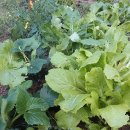 현진농장 이미지