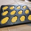 다운초등학교 이미지