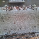 왕벌농장 이미지