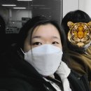 잠티 이미지