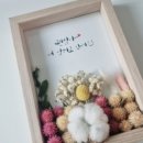 꽃;느루