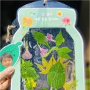 서머힐어린이집 - 노원구 | 서머힐어린이집