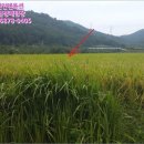 외촌리 이미지