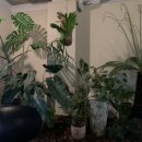 감성커피 하남미사점 이미지