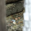 신사운전길 | 후지산 인생샷 명소｜가와구치 아사마 신사 + 요오하이쇼 솔직 후기