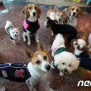 겟풀(GETPOOL) 이미지