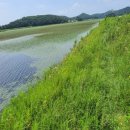 볼음저수지 이미지