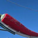 영광고추특화시장 이미지