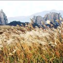 산하의물결 이미지