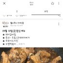 웰스푸드뷔페 이미지