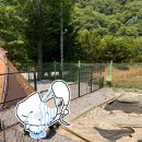 퍼시픽 가족 펜션 | 첫 캠핑 - 캠핑 용품 구매 리스트와 후기