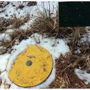 월산1리 이미지