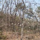 시목공원 이미지