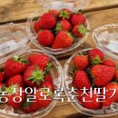 알로3 농장 이미지