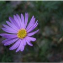 연합 농장 이미지