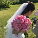 W3-1-2_야외스냅 (촬영 작가): 헤이유스냅 (촬영 후기)