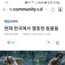 현재 한국에서 멸종된 동물들 이미지
