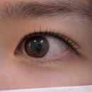 보리네 뜰 | 짧은 모도 칼각컬링 ! 건대입구역속눈썹펌 보리네눈썹가게 후기