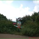 조견사우 이미지