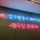 열두달꽃돼지 이미지