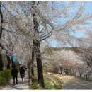 [도로]홈플러스 서수원점 이미지