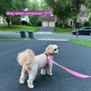 다솔주유소 이미지