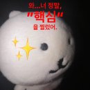 NGO기업장애인협회 | [2025 유니버설디자인 전시·체험] 내 하루의 화장실 전시 후기