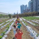 영유아프라자 이미지