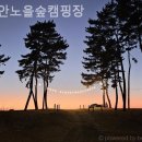 노을숲캠핑장 네이버블로그