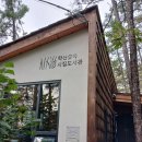 도서관 마당에서 가을 숲 캠핑 | 낙엽이 떨어지는 가을엔 학산숲속시집 도서관 을 갑시다