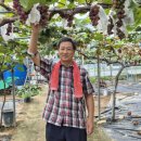 상안농장 이미지