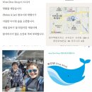 와우 숍(WOW Shop) 이미지
