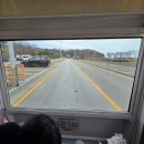 광주광역시청 시민숲둥지 | 서산 가볼만한곳, 서산 버드랜드! 입장료, 전기버스, 둥지전망대, 트릭아트, 숲속놀이터 내돈내산 후기