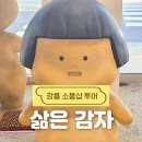 순박산골 | 강릉 소품샵 투어 삶은 감자 교동 소품샵